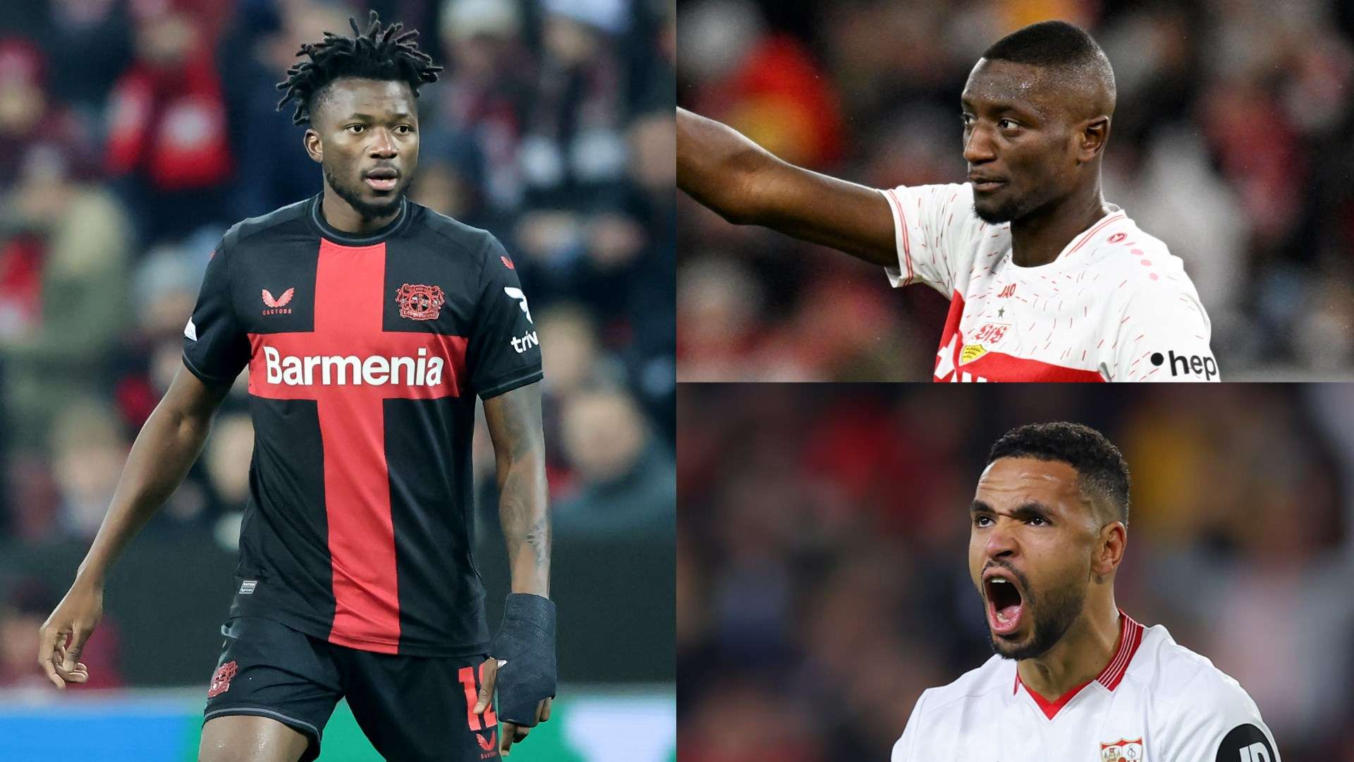 他們完全有 他們完全有